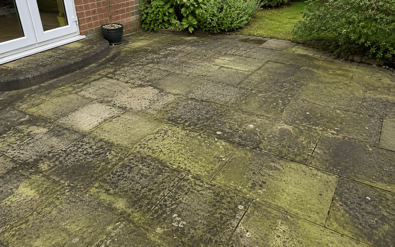 Before — algae build-up
